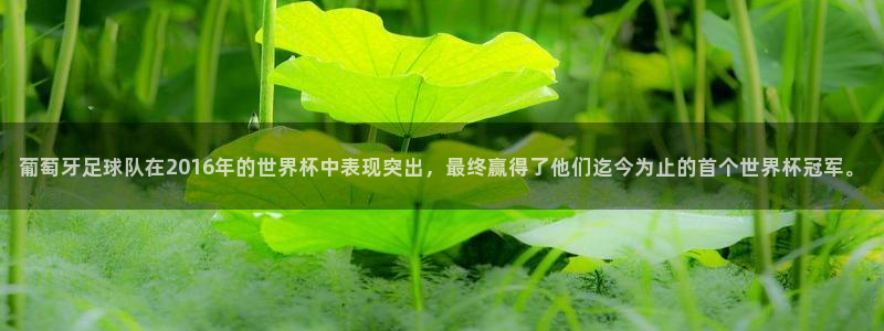 世界杯葡萄牙赛程：葡萄牙足球队在2016年的世界杯中表现突出，最终赢得了他们迄今为止的首个世界杯冠军。