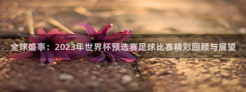 2026世界杯32强对阵图表：全球盛事：2023年世界杯预选赛足球比赛精彩回顾与展望