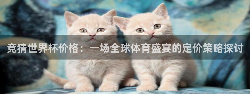 世界杯直播观看：竞猜世界杯价格：一场全球体育盛宴的定价策略探讨