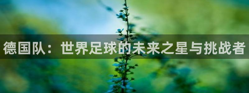 世界杯在线直播入口：德国队：世界足球的未来之星与挑战者