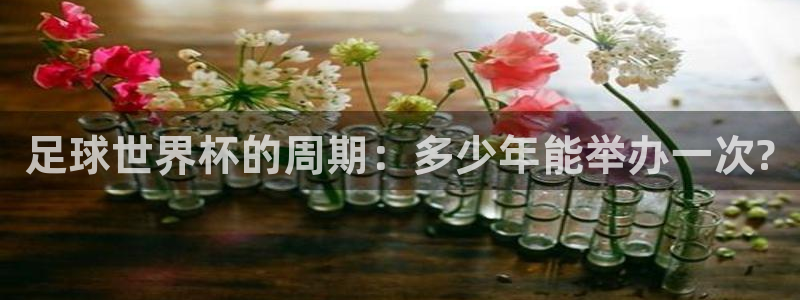 世界杯决赛预测：足球世界杯的周期：多少年能举办一次?