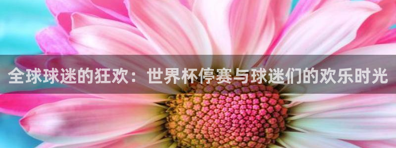 世界杯直播免费观看：全球球迷的狂欢：世界杯停赛与球迷们的欢乐时光