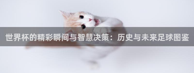 2026世界杯直播：世界杯的精彩瞬间与智慧决策：历史与未来足球图鉴