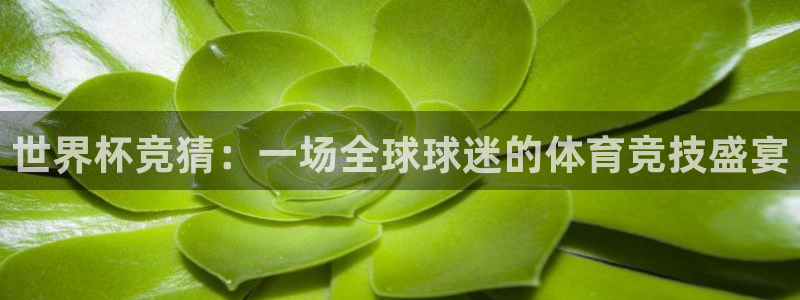 2026世界杯赛程时间表最新：世界杯竞猜：一场全球球迷的体育竞技盛宴