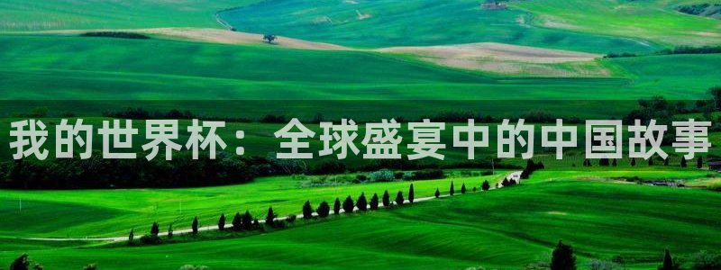今天所有足球赛程表：我的世界杯：全球盛宴中的中国故事